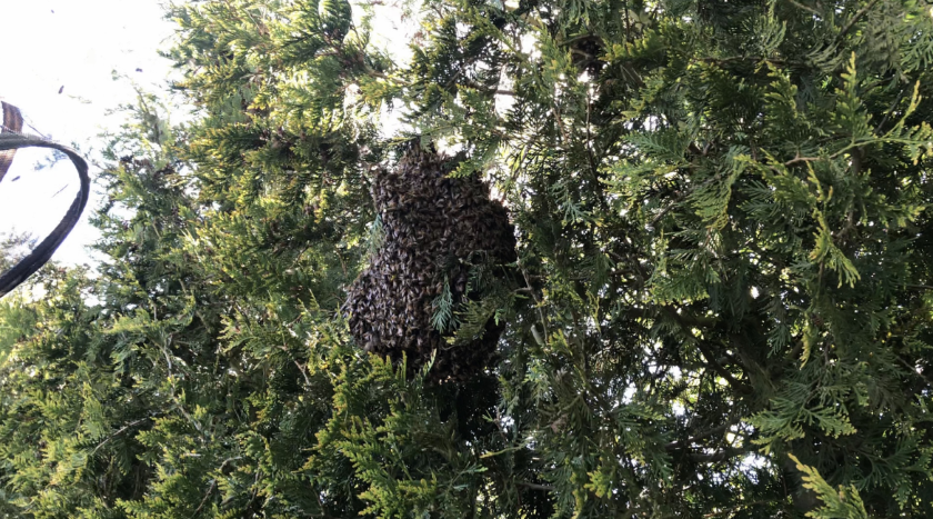 Bildschirmfoto 2019-05-19 um 21.06.31.png